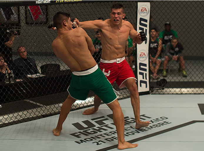 LAS VEGAS, NV - APRIL 10: (R-L) Alvaro Herrera punches Hector Aldana during the filming of The Ultimate Fighter Latin America: Team Gastelum vs Team Escudero on April 10, 2015 in Las Vegas, Nevada. (Photo by Brandon Magnus/Zuffa LLC/Zuffa LLC via Getty
