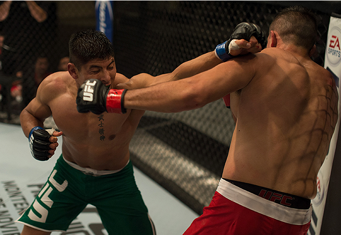 LAS VEGAS, NV - APRIL 10: (L-R) Hector Aldana exchanges punches with Alvaro Herrera during the filming of The Ultimate Fighter Latin America: Team Gastelum vs Team Escudero on April 10, 2015 in Las Vegas, Nevada. (Photo by Brandon Magnus/Zuffa LLC/Zuffa
