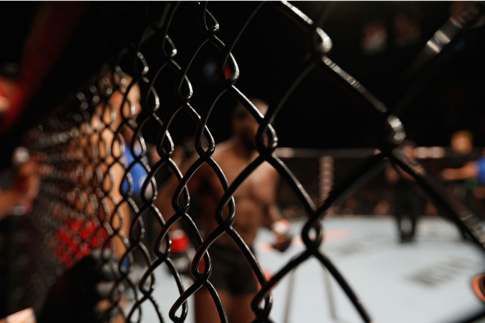 LAS VEGAS, NV - JULY 06:  (R-L) Corey Anderson enters the Octagon before his light heavyweight fight with Matt Van Buren during the Ultimate Fighter Finale inside the Mandalay Bay Events Center on July 6, 2014 in Las Vegas, Nevada.  (Photo by Josh Hedges/