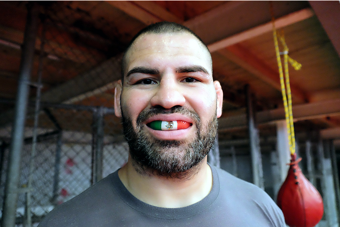 UFC 188 Cain Velasquez, Gabriel Moggly Benitez, Alejandro Diablito Perez