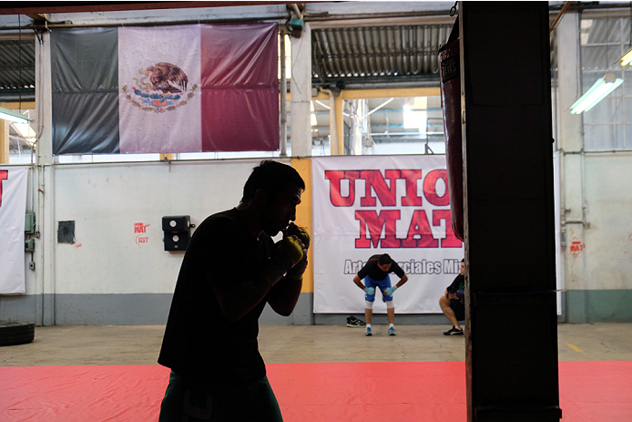 UFC 188 Cain Velasquez, Gabriel Moggly Benitez, Alejandro Diablito Perez