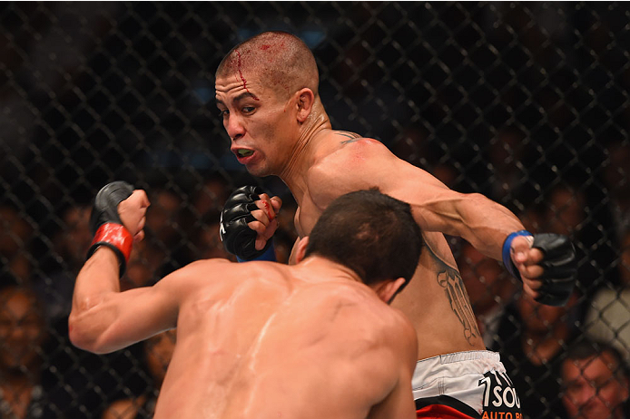 LAS VEGAS, NV - MAY 23:  John Moraga (top) punches Joseph Benavidez in their flyweight bout during the UFC 187 event at the MGM Grand Garden Arena on May 23, 2015 in Las Vegas, Nevada.  (Photo by Josh Hedges/Zuffa LLC/Zuffa LLC via Getty Images)