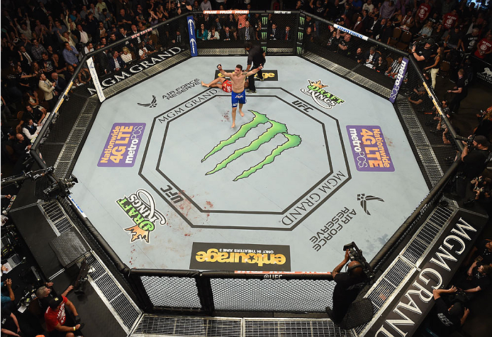 LAS VEGAS, NV - MAY 23: Chris Weidman reacts to his victory over Vitor Belfort of Brazil in their UFC middleweight championship bout during the UFC 187 event at the MGM Grand Garden Arena on May 23, 2015 in Las Vegas, Nevada. (Photo by Josh Hedges/Zuffa