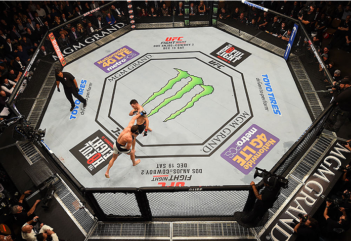 LAS VEGAS, NV - DECEMBER 12: An overhead view of the Octagon as Luke Rockhold punches Chris Weidman during the UFC 194 event inside MGM Grand Garden Arena on December 12, 2015 in Las Vegas, Nevada. (Photo by Zuffa LLC/Zuffa LLC via Getty Images) *** Loca