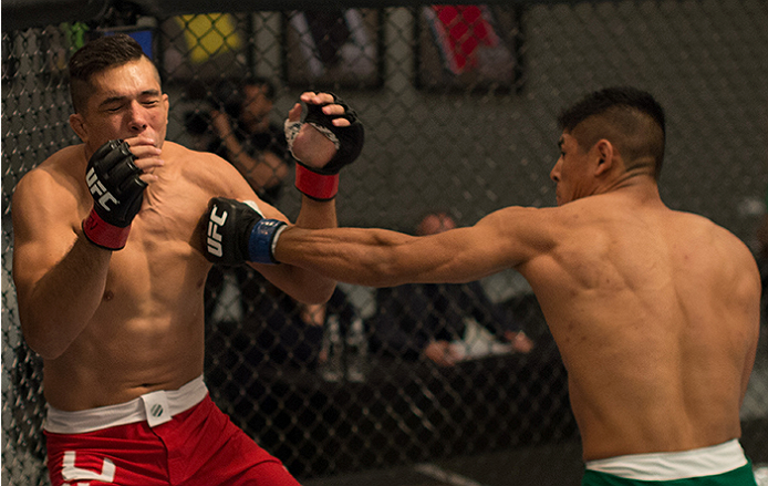 LAS VEGAS, NV - APRIL 10: (R-L) Hector Aldana punches Alvaro Herrera during the filming of The Ultimate Fighter Latin America: Team Gastelum vs Team Escudero on April 10, 2015 in Las Vegas, Nevada. (Photo by Brandon Magnus/Zuffa LLC/Zuffa LLC via Getty