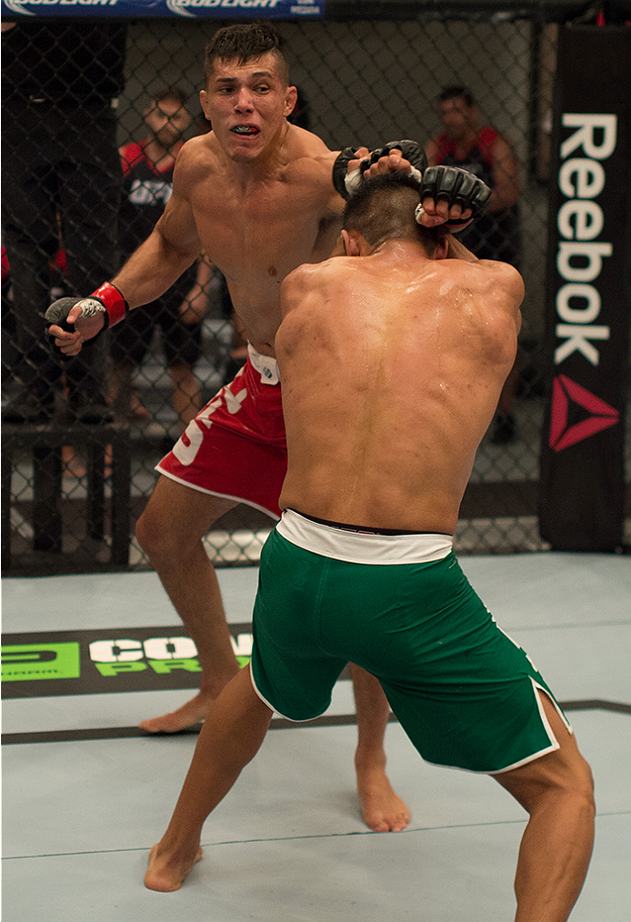 LAS VEGAS, NV - APRIL 10: (L-R) Alvaro Herrera punches Hector Aldana during the filming of The Ultimate Fighter Latin America: Team Gastelum vs Team Escudero on April 10, 2015 in Las Vegas, Nevada. (Photo by Brandon Magnus/Zuffa LLC/Zuffa LLC via Getty
