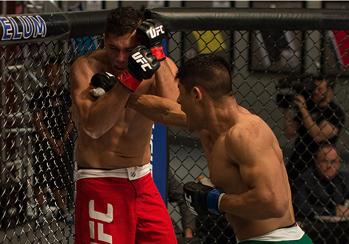 LAS VEGAS, NV - APRIL 10: (R-L) Hector Aldana punches Alvaro Herrera during the filming of The Ultimate Fighter Latin America: Team Gastelum vs Team Escudero on April 10, 2015 in Las Vegas, Nevada. (Photo by Brandon Magnus/Zuffa LLC/Zuffa LLC via Getty