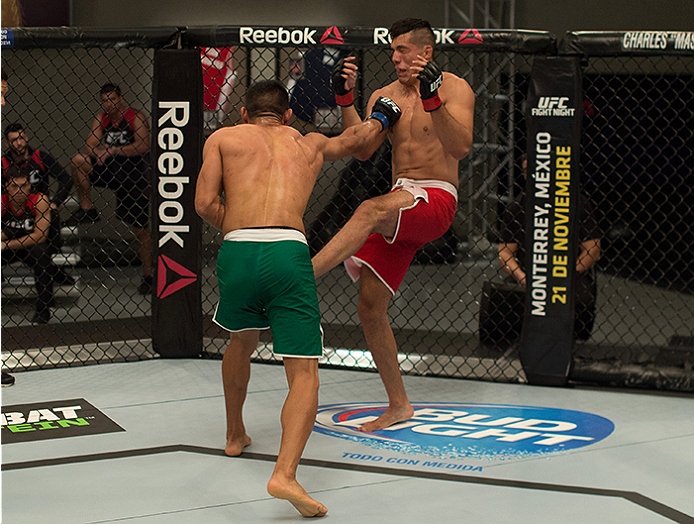 LAS VEGAS, NV - APRIL 10: (L-R) Hector Aldana punches Alvaro Herrera during the filming of The Ultimate Fighter Latin America: Team Gastelum vs Team Escudero on April 10, 2015 in Las Vegas, Nevada. (Photo by Brandon Magnus/Zuffa LLC/Zuffa LLC via Getty