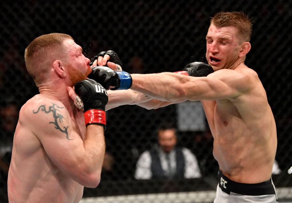 Dan Hooker 2 CT