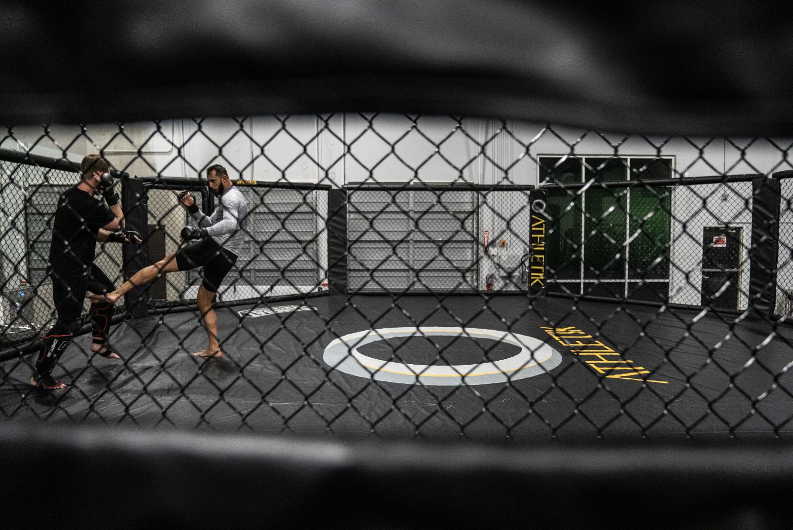 30 - Dominick Reyes late workout during UFC 247 Fight Week