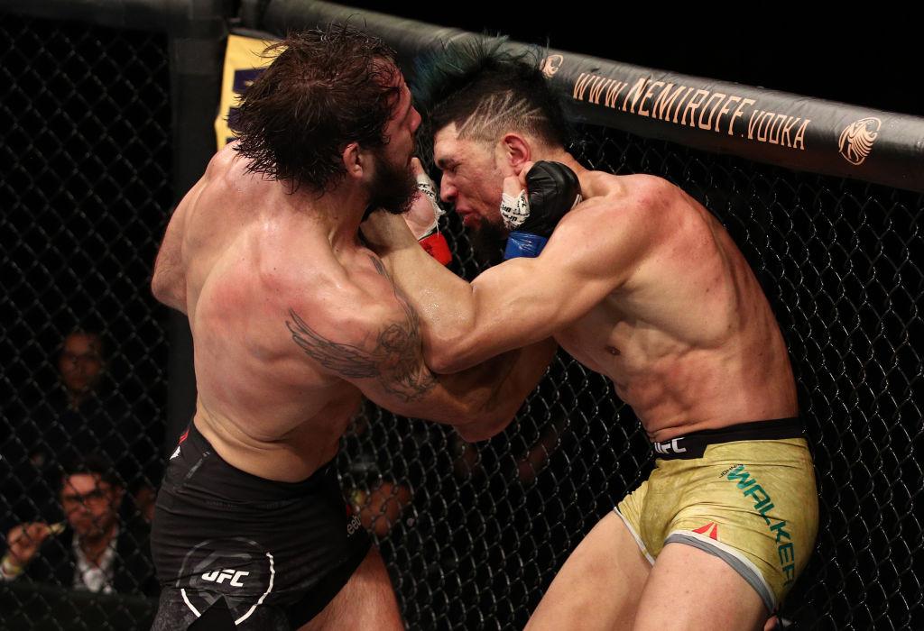 Nikita Krylov CT