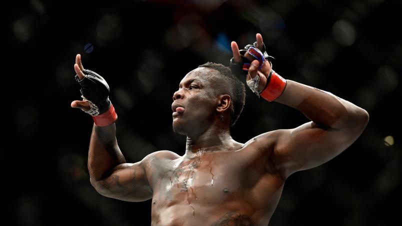 NEW YORK, NY - NOVEMBER 04: Ovince Saint Preux celebrates his victory over Corey Anderson in their light heavyweight bout during the UFC 217 event at Madison Square Garden on November 4, 2017 in New York City. (Photo by Jeff Bottari/Zuffa LLC/Zuffa LLC via Getty Images)