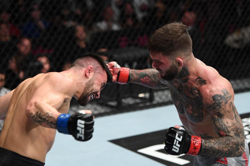 Pedro Munhoz of Brazil and Cody Garbrandt trade punches in their bantamweight bout during the UFC 235 event at T-Mobile Arena on March 2, 2019 in Las Vegas, Nevada. (Photo by Jeff Bottari/Zuffa LLC)