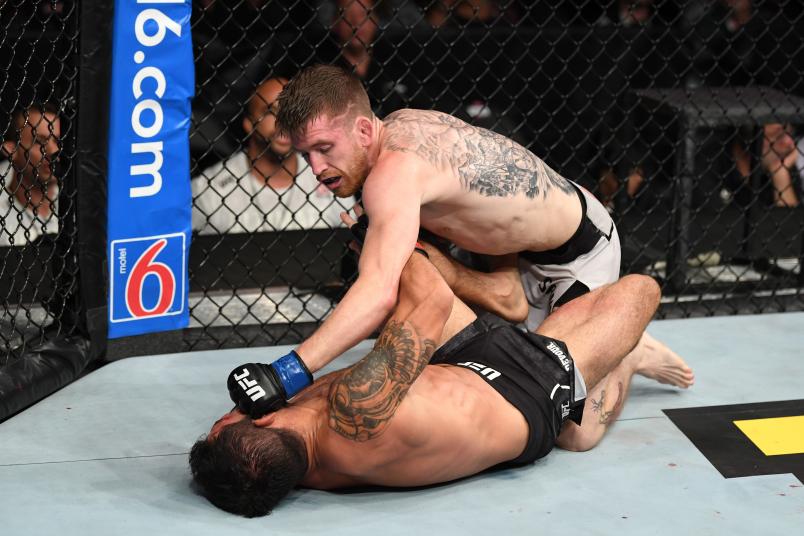 ANAHEIM, CALIFORNIA - AUGUST 17: (R-L) Cory Sandhagen punches Raphael Assuncao of Brazil in their bantamweight bout during the UFC 241 event at the Honda Center on August 17, 2019 in Anaheim, California. (Photo by Josh Hedges/Zuffa LLC)