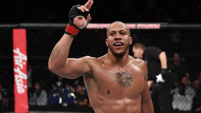 the ultimate fighter heavyweights