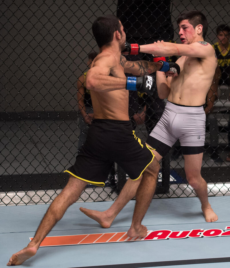 COACH CONVERSATION | MORENO VS PANTOJA 2 | UFC
