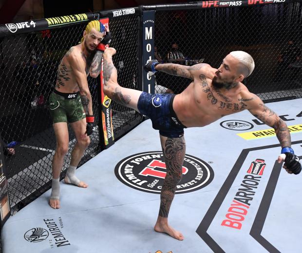 Marlon Vera Ufc