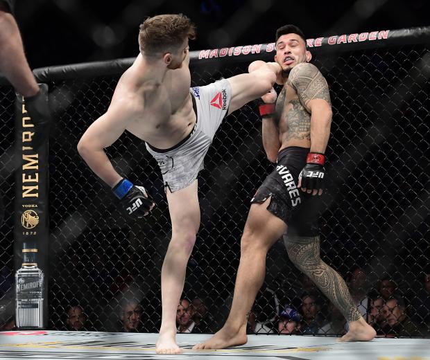 Edmen Shahbazyan of the United States (L) fights against Brad Tavares of the United States in the Lightweight bout during UFC 244