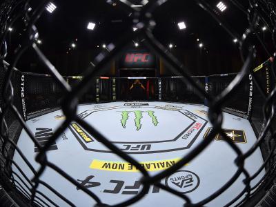 UFC 257: Poirier vs McGregor 2 Results | UFC