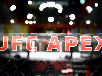 Confira todos os resultados do UFC Vegas 19