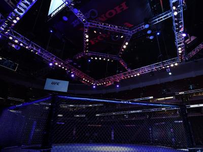 A general view of the Octagon prior to the UFC 241 event at the Honda Center on August 17, 2019 in Anaheim, California. (Photo by Josh Hedges/Zuffa LLC)