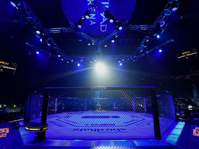 A general view of the Octagon prior to the UFC lightweight championship fight during the UFC 294 event at Etihad Arena on October 21, 2023 in Abu Dhabi, United Arab Emirates. (Photo by Chris Unger/Zuffa LLC)